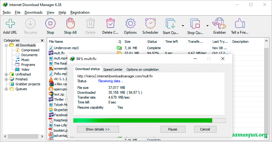 Internet Download Manager (IDM) - IdmanFull Indir